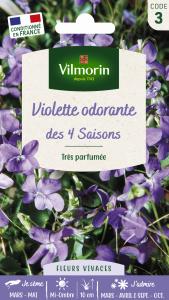 Violette des 4 Saisons 